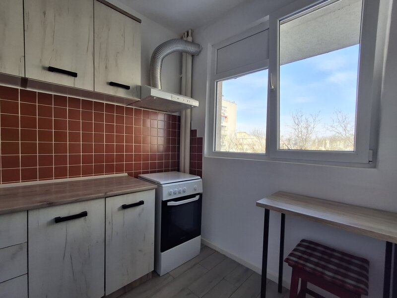 Ion Mihalache, Hotel Samaa