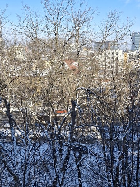 Ion Mihalache, Hotel Samaa